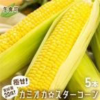 まるでフルーツ とうもろこし 5本