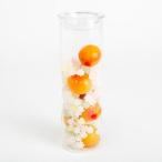 蝶矢梅キットLサイズ 6杯分 完熟南高×こんぺい糖