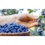 fu.... налог юг . белый . производство голубика примерно 400g Wakayama префектура белый . блок 