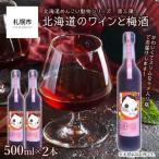 のワインと梅酒 12% 2本セット