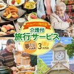 ヘルパー同行型介護付旅行サービス 夢たび利用券
