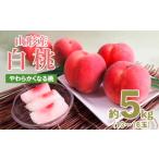 ふるさと納税 山形産白桃約5kg(13〜16玉)[やわらかくなる桃]【令和8年産先行予約】FU19-328 くだもの 果物 フルーツ 山形 山形県 山形市 2026年.. 山形県山形市