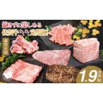 佐賀牛 定期便 通年6回コース 牛肉 黒毛和牛