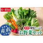 新鮮愛情 お野菜セット 野菜 野菜セット 旬野菜セット