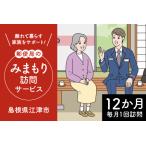 みまもり訪問サービス 12か月 見守り 訪問