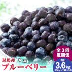 対馬産 ブルーベリー 冷凍 1.2kg