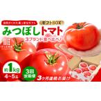 定期便 みつぼしトマト☆3ブランド食べ比べ 約1kg