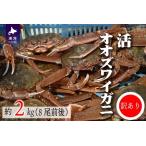 ふるさと納税 訳あり 活オオズワイガニ約2kg(8尾前後入)[02-1301] 北海道浦河町