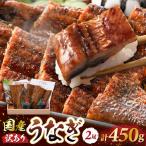 レンジ温め うなぎ蒲焼き2尾 計450g