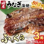 うなぎ 蒲焼き 3尾