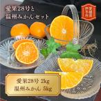 愛果28号と温州みかんのセット B163