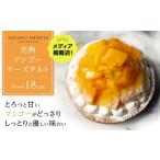 ふるさと納税 【とろっと甘いマンゴーがどっさり】完熟マンゴーチーズタルト【1ホール（18cm）】/ 心優-CotoyuSweets 長崎県