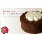 ガトーショコラ ケーキ 4号 チョコ ショコラ