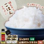 ジャコ 山椒ジャコのり 4個セット