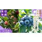 fu.... налог { предшествующий предварительный заказ }[ ограниченное количество ] утро .... голубика 700g. розовый remone-do350g. ... комплект еда . сравнение (1 упаковка на.. Ibaraki префектура корова . город 