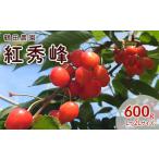 ふるさと納税 [先行受付] 数量限定 北海道 仁木町産 果肉がプリ しっかり大粒 甘い さくらんぼ 紅秀峰 600g Lサイズ以上 高糖度 リピーター 朝採.. 北海道仁木町