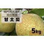甘太梨 約5kg