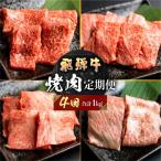 飛騨牛 定期便 4回 焼肉 ちょこっと食べ比べ