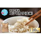 和田の里米 コシヒカリ 玄米 10kg