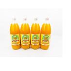 有田産100%みかんジュース 970ml×4本セット_ZJ6062