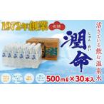 B2-1101 飲む垂水温泉水 潤命 500mL×30本