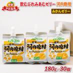 飲むぷれみあむ ゼリー 河内晩柑 180g