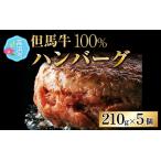 おかず 但馬牛ハンバーグ つなぎ不使用100%