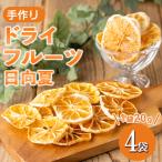 isa450 ドライフルーツ日向夏 そのまんまドライしました 計…