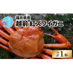 ふるさと納税 【数量限定】福井県産 越前紅ズワイガニ × 1杯 ｜ ゆで蟹 紅ズワイガニ カニ ズワイガニ 紅ずわいがに かに カニ 冷蔵 チルド.. 福井県高浜町