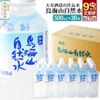 鳥海山自然水 500ml