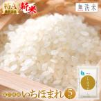 無洗米 いちほまれ 5kg