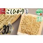 米 こしひかり 玄米 30kg