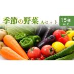 季節の野菜詰め合わせセットA 15種類以上の新鮮な野菜をお…
