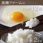 たまご 12個