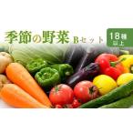 季節の野菜詰め合わせセットB 18種類以上の新鮮な野菜をお…