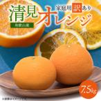 紀州有田産 清見 オレンジ 7.5kg