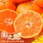 和歌山産 津之輝 つのかがやき 5kg_G7057