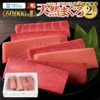 徳用 老舗 三崎 まぐろ 問屋 から 直送 新鮮 天然マグロ