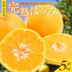 果肉ぷりぷり 完熟 はるみ 5kg_G7056