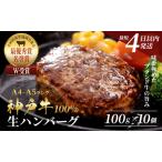 ふるさと納税 神戸牛 ハンバーグ 100g×10個 国産 牛肉 小分け 兵庫県加西市