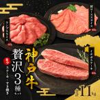 神戸牛 贅沢セットA 1.1kg