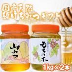 はちみつ 天然 純はちみつ もちのき やまみつ