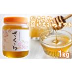 はちみつ 天然 さくら 化粧箱入