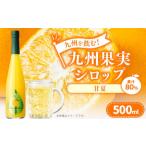 九州を飲む 九州果実 シロップ 甘夏 果物 フルーツ