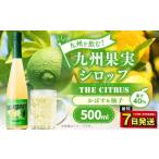 九州を飲む 九州果実 シロップ ザ シトラス