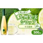 果汁飲料 九州を飲む 九州果実 シロップ 平兵衛酢