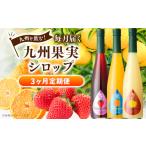 九州を飲む 毎月届く 九州果実シロップ 500ml×1本×3回