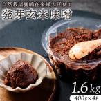 自然栽培麹とうまみが詰まった自然栽培鹿嶋在来緑大豆の100…