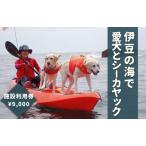 愛犬と一緒にシーカヤック 湊カフェ&Pirates