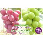 ショッピングふるさと納税 訳あり 不揃い ふるさと納税 ぶどう 訳あり 先行予約 シャインマスカット クイーンニーナ 計約1kg 種なし 不揃い 長野県長野市